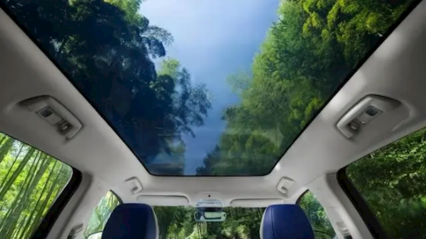 特斯拉天幕变全景烤炉开车戴帽子冰袖女子调侃自己变烤乳猪