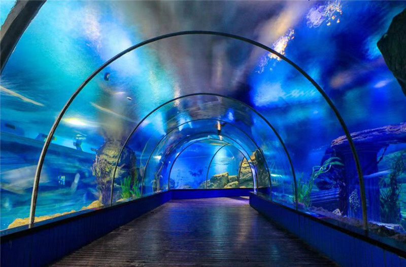 【甘快看】兰州七里河区:与天水麻辣烫同频共振乐购宠粉再升级