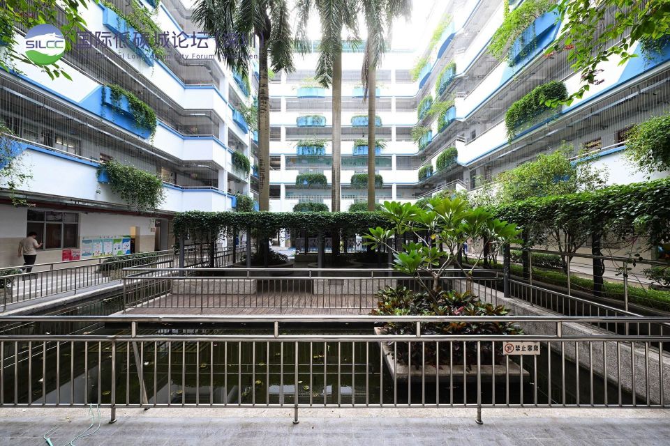 锦田小学:屋顶发电,地下蓄水,学校里有"绿色魔法"