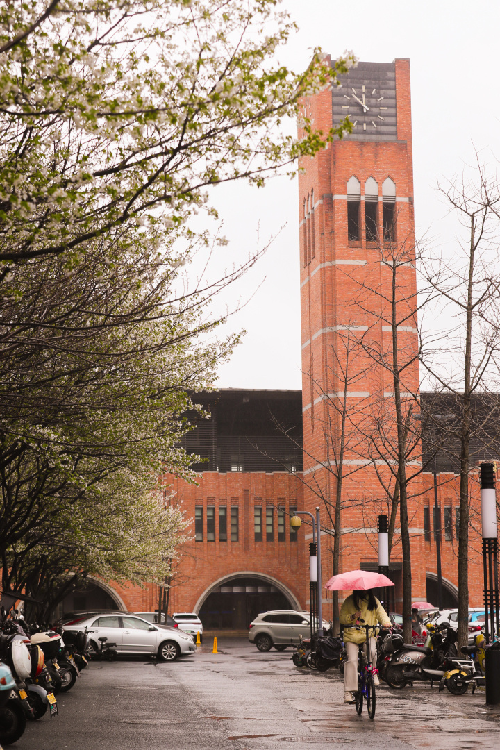 浙江大学校园里面图片图片