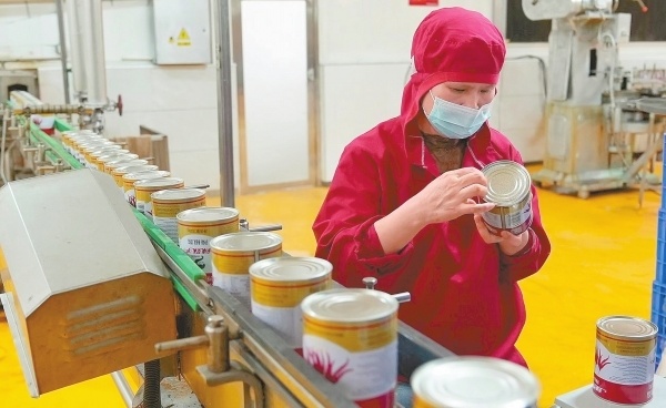 走读湘村强富美落实中央一号文件见闻辣妹子每年炒出2万多吨辣椒酱