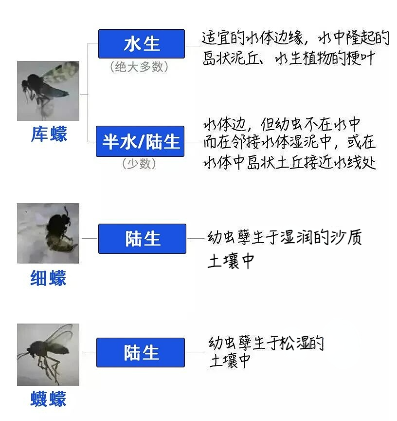 近期大量出现，被咬后奇痒无比！_腾讯新闻