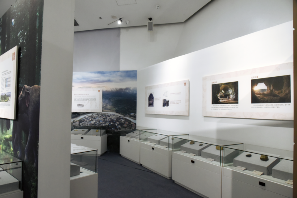 暑期来武大万林艺术博物馆免费观展!