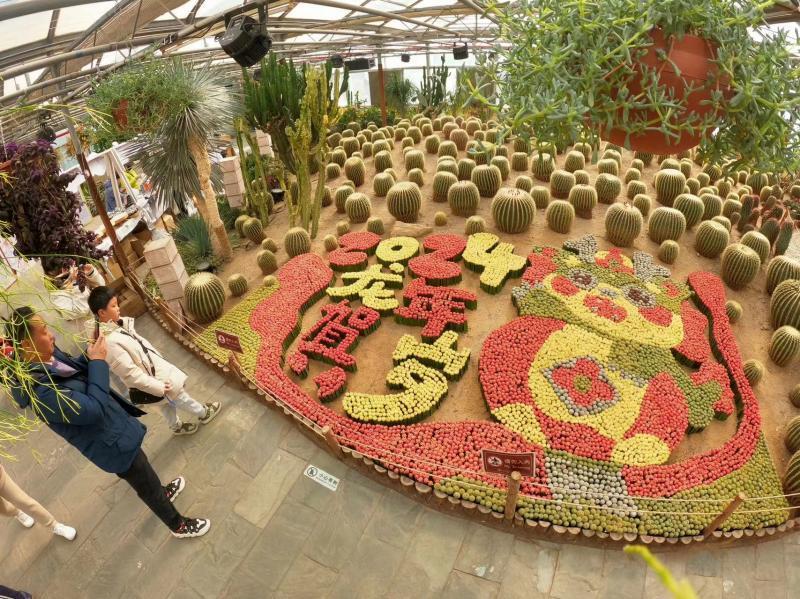 世界花卉大观园新春文化游园会 国内最大的蝴蝶兰"瀑布"盛放迎客_腾讯