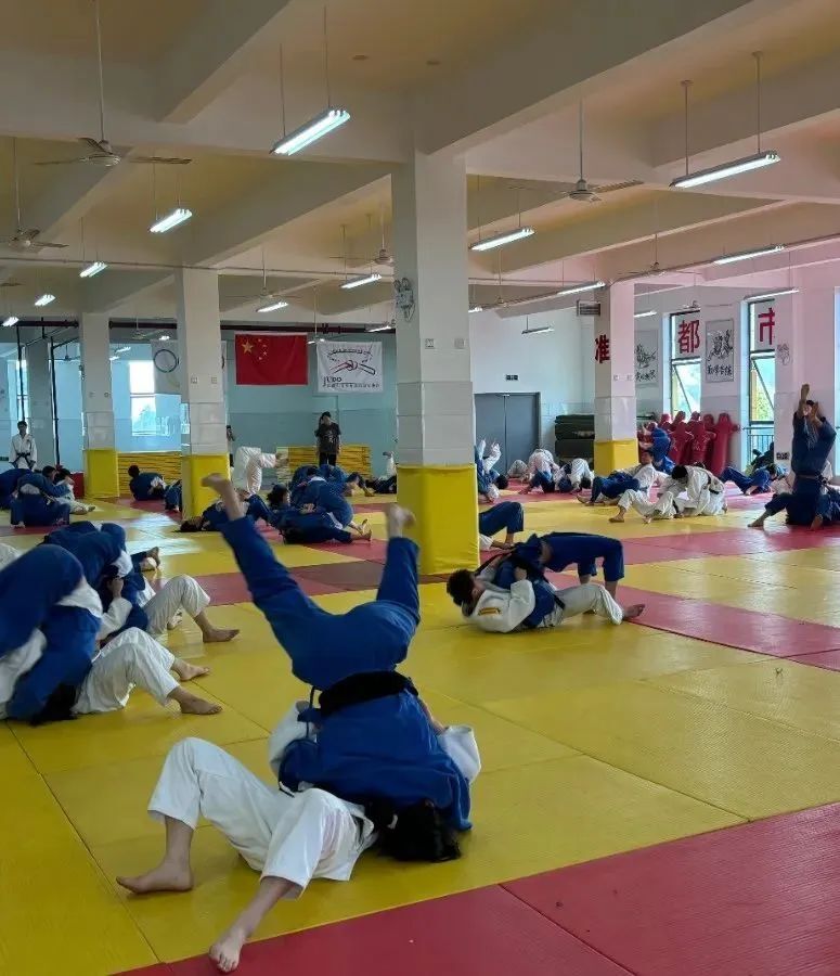 喜报 | 热烈祝贺外实校柔道队在"快乐之星"2024年