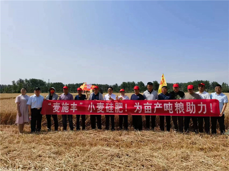 丰乐种业"烟农1212"小麦测产达865.83公斤