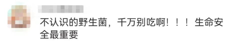 云南男子吃野生菌前喊免责声明，网友急了：不认识千万别吃
