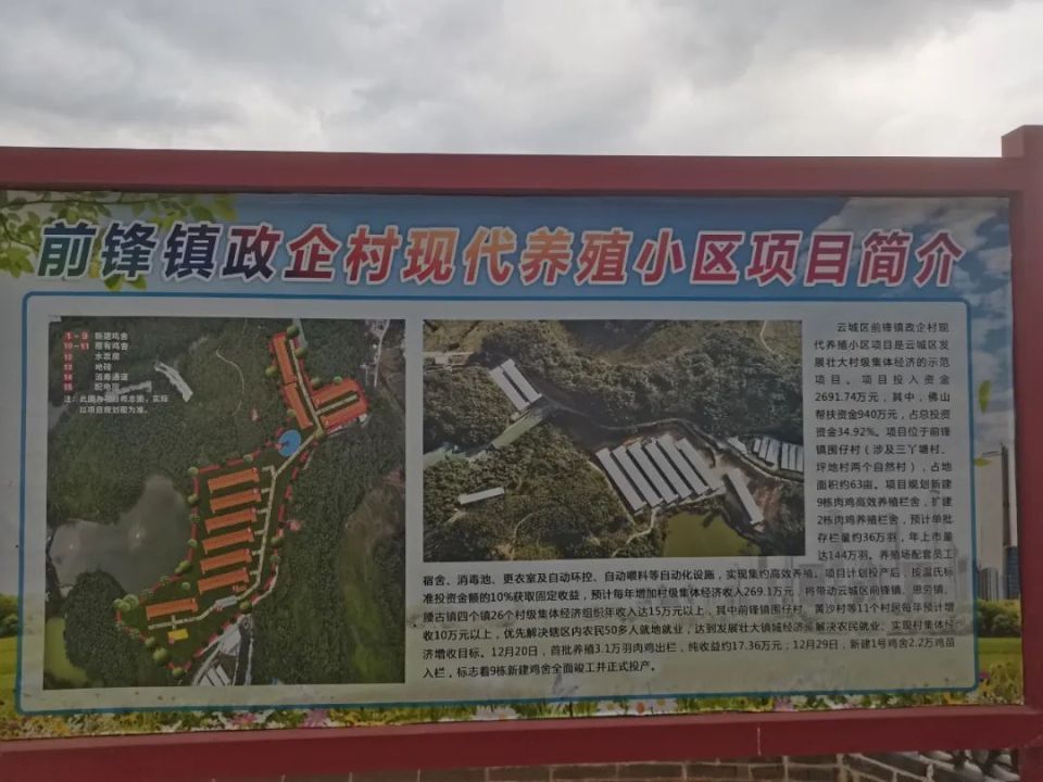 智库观察丨云城区前锋镇：“金钥匙”开启乡村振兴“致富门”_腾讯新闻