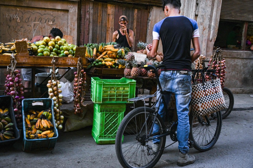 古巴街头果摊