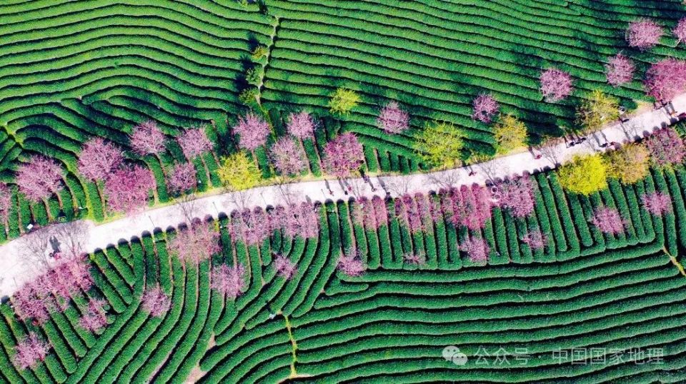 中国人迎春的仪式感有哪些?_腾讯新闻