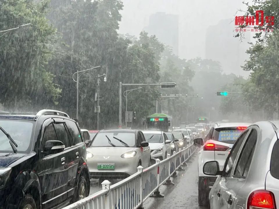 市区迎大雨,暴雨!注意雷电!这些地方下最大