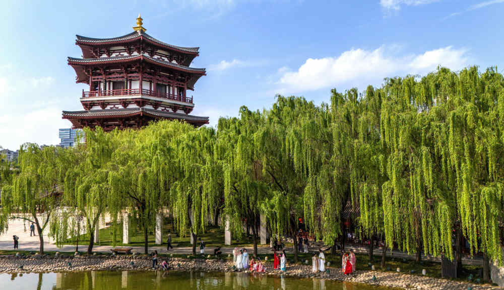 新华社记者 邹竞一 摄3月30日,游客在西安市长安区长安唐村梅园内赏花