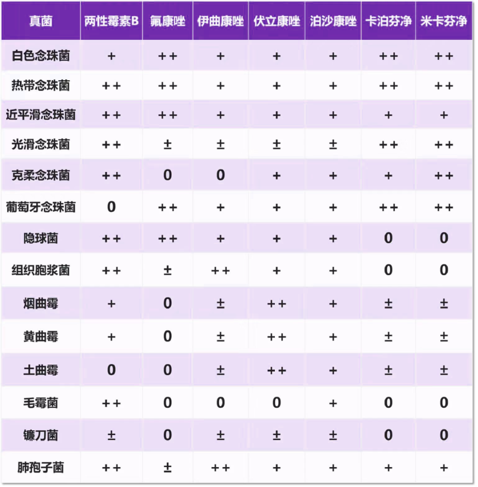 抗菌谱一览表图片