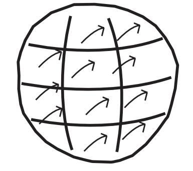 毛球定理说的是,球面上不存在连续而又没有消失点的向量场.