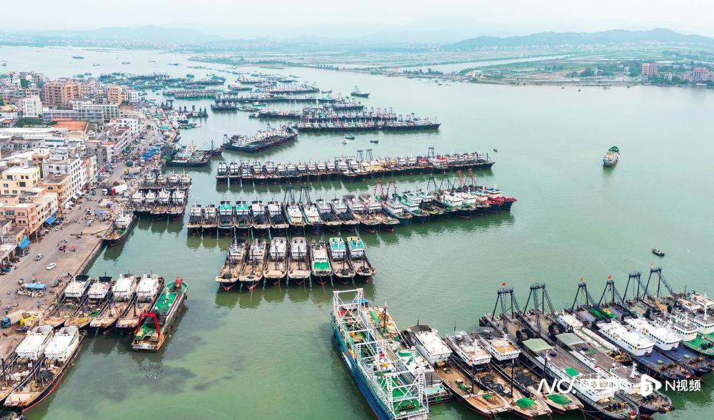 广东三大渔港码头图片