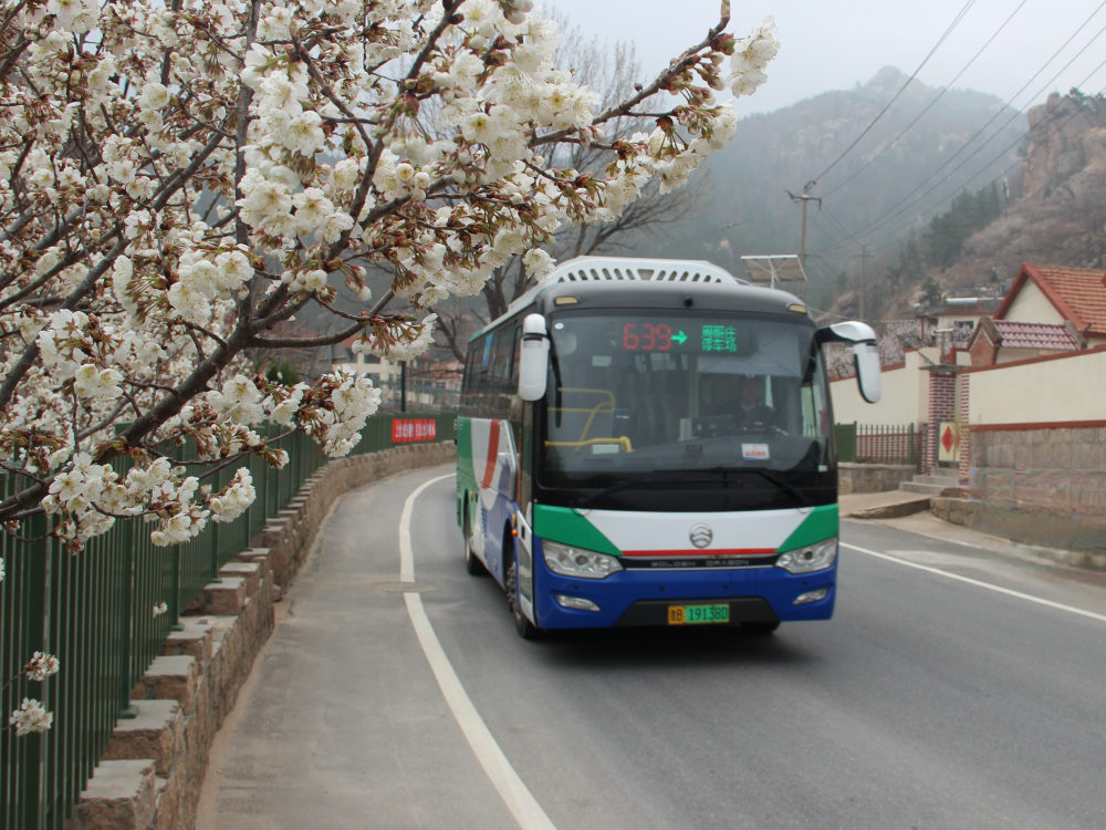 北京615公交车路线图片