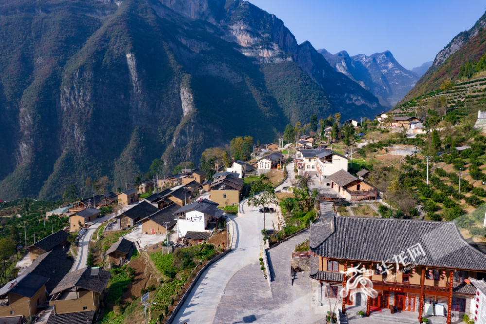 新时代新征程新伟业记者探访下庄村柑橘迎丰收飘香至云端