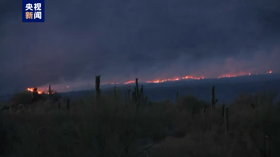 美国亚利桑那州林火过火面积持续扩大