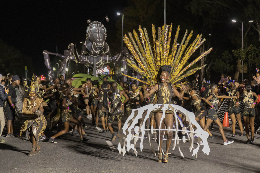 中国元素闪耀开普敦狂欢节
