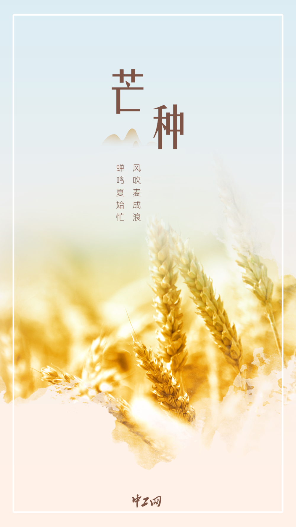 今日芒种时雨及芒种四野皆插秧