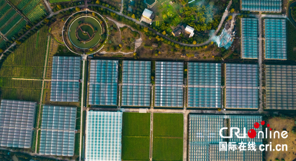 重庆万州区甘宁镇积极发挥资源优势 大力发展现代农业产业体系_腾讯