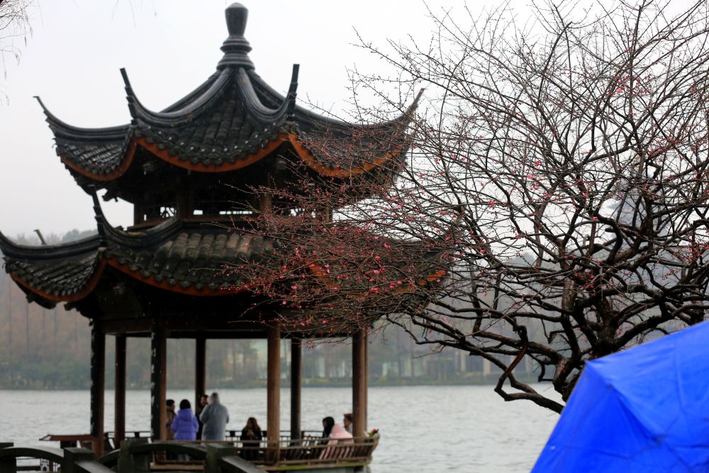 浙江杭州江南烟雨西湖春早