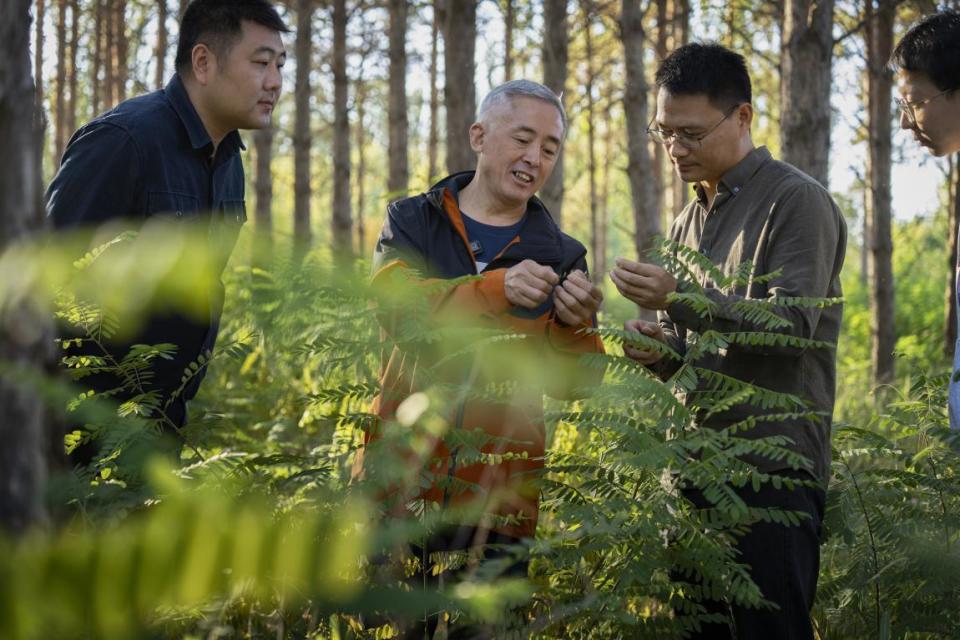 资讯有故事｜“地球卫士奖”获得者卢琦：希望把中国的治沙技术传播到世界各地_腾讯新闻