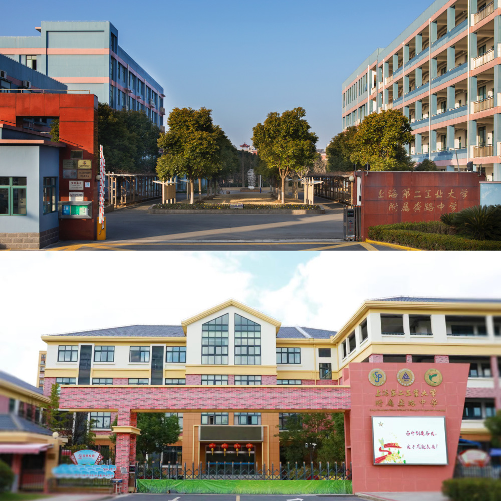 上海第二工业大学附属龚路中学"思敬"育人践初心,求实笃行展新篇