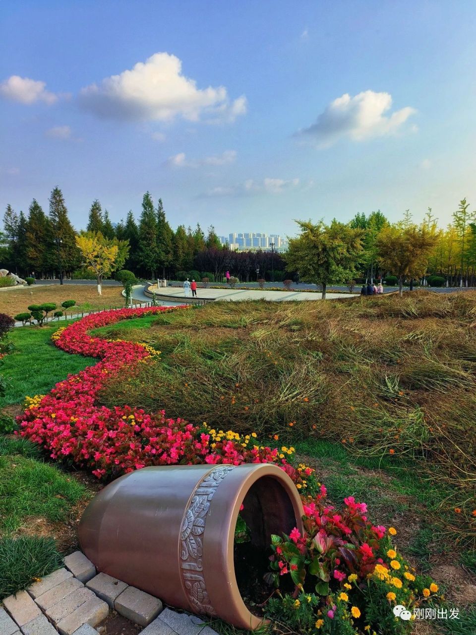 秋日大连董家沟植物园,赏花好地方,太美了_腾讯新闻