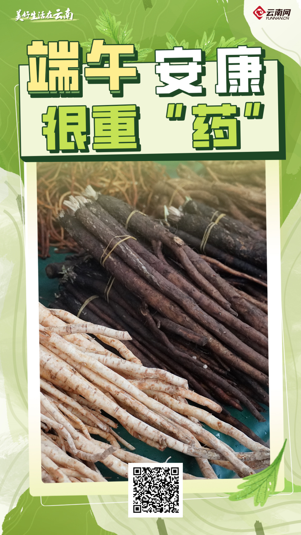 美好生活在云南 | 端午安康很重"药"