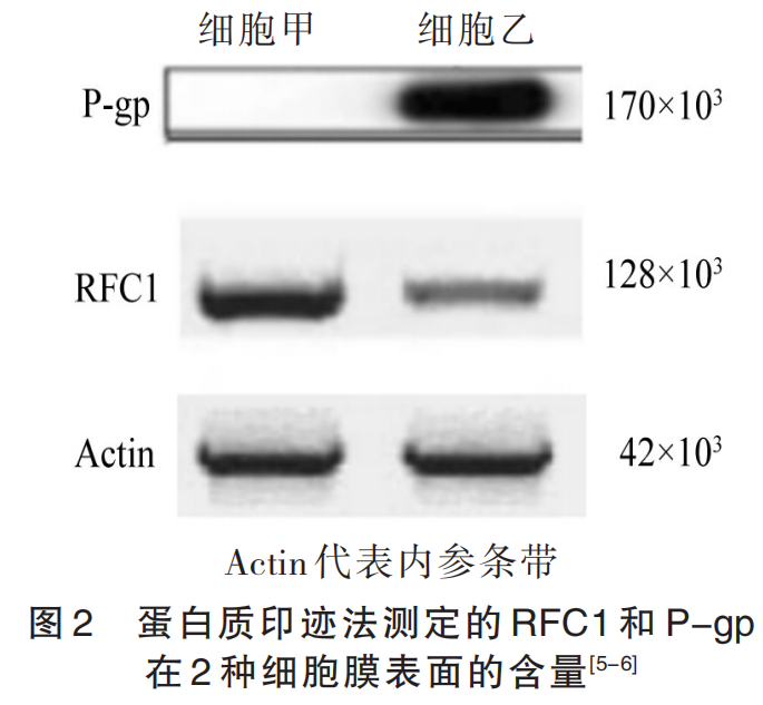 本期荐读丨项目式学习:利用微项目式学习模式基于真