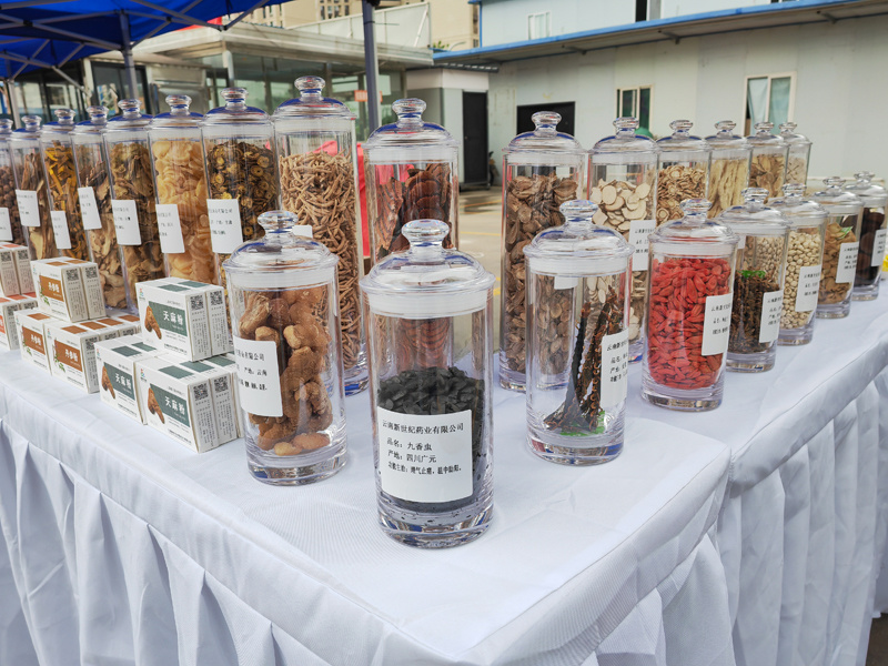 云南昭通举办首届中医药文化节