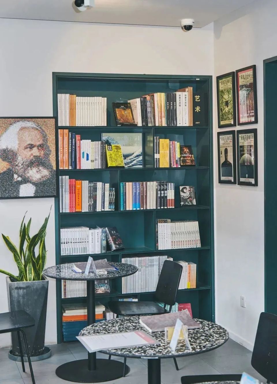 梧桐树下老洋房,遇见文艺生活 | 海派城市考古