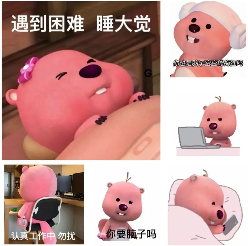 在表情包届爆火的粉色河狸,现实中活得这么"卑微"?_腾讯新闻
