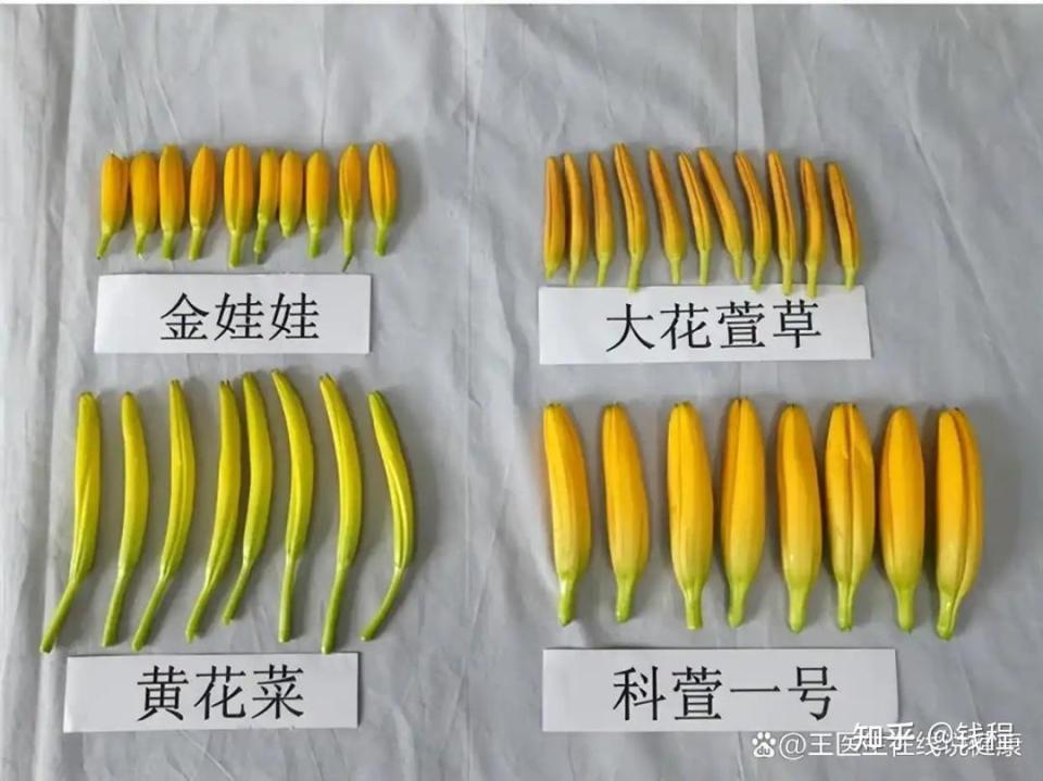 2025食品安全大事件盘点合订本:天水铅中毒,上海绿捷,泡药虾仁