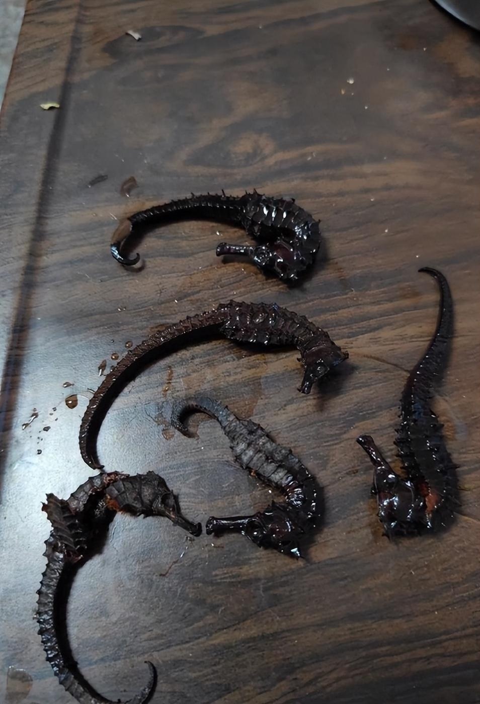 男子发现泡2年药酒的海马海龙是塑料,当事人:托朋友从外省带的,30多元