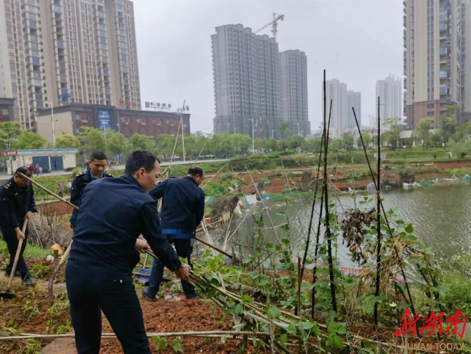 常宁市最近新闻(常宁市最近新闻报道)