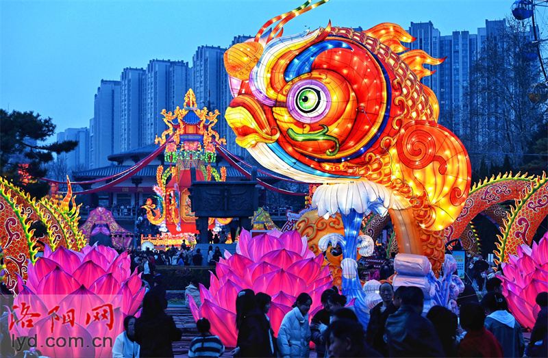 王城公园赏花灯 流光溢彩年味浓_腾讯新闻