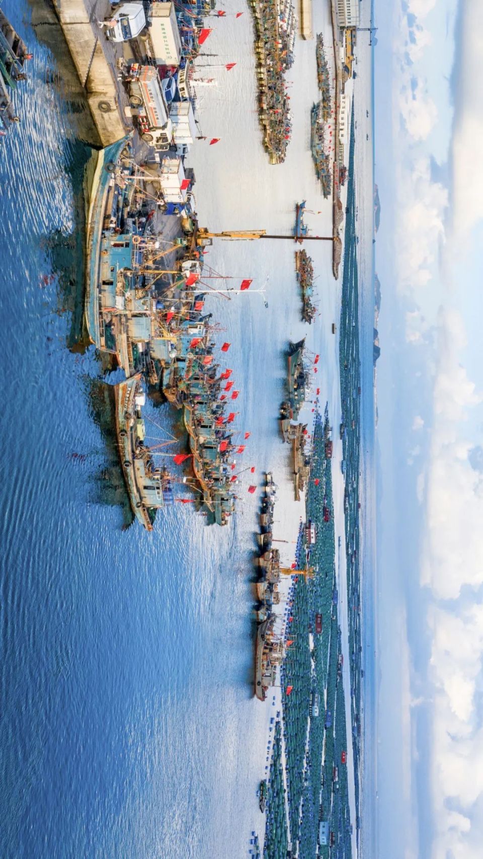 北方最舒服的沿海城市,凭什么是烟台?_腾讯新闻