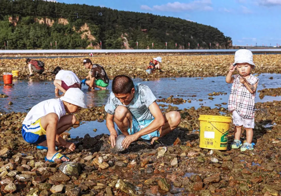 青岛金沙滩赶海图片