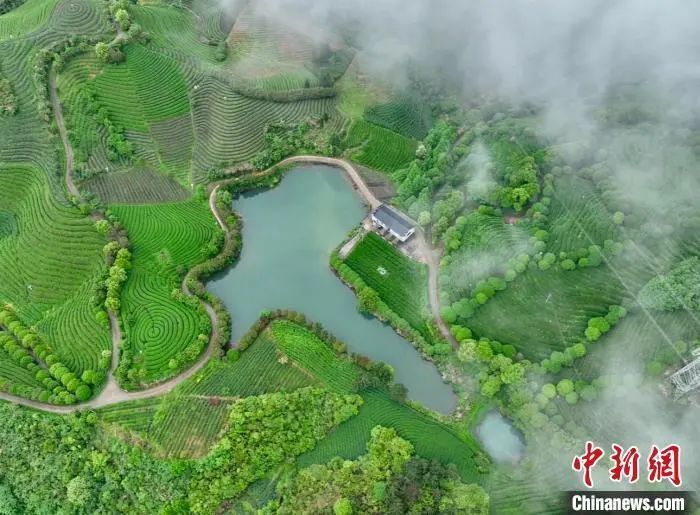 为什么宁静贴片这么贵聚焦浙里：中新社浙江新闻周报_https://www.jmylbn.com_新闻资讯_第18张