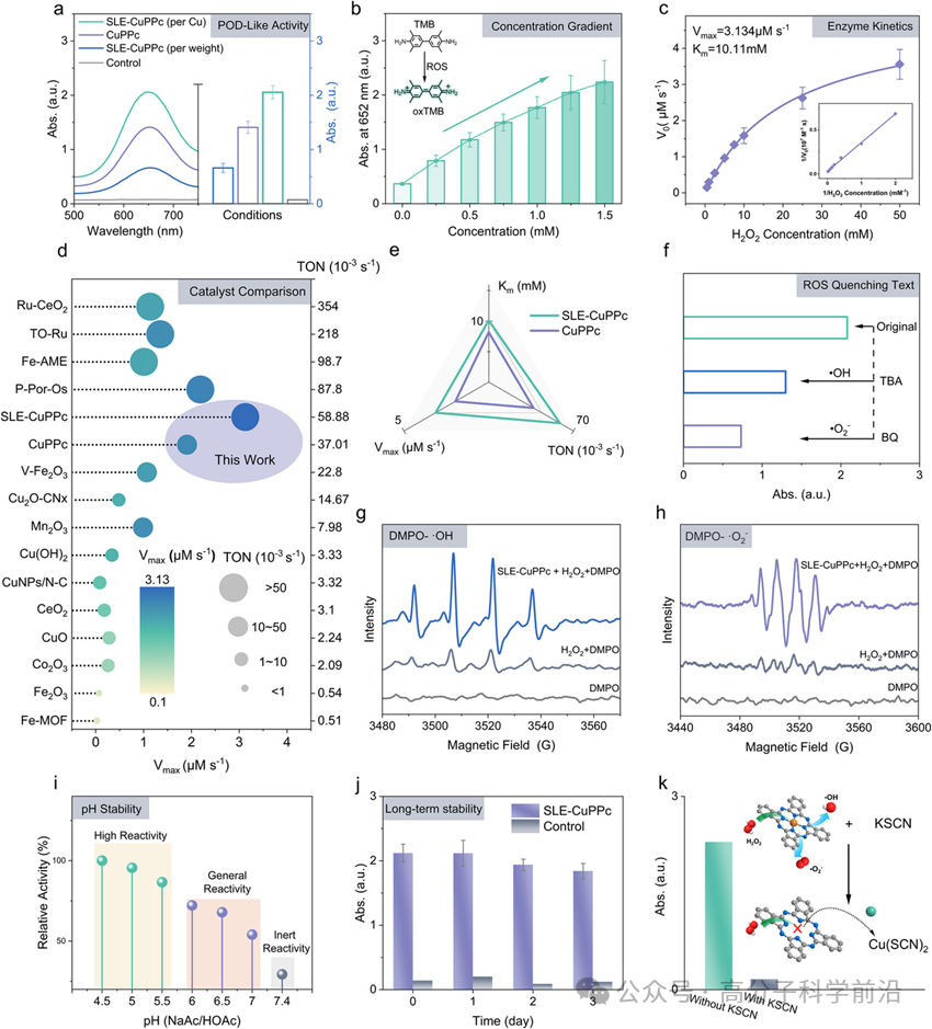 抗菌水凝胶怎么操作四川大学马朗、程冲、罗红团队《AFM》可注射刺状人工过氧化物酶复合水凝胶，用于生物适应性和协同对抗子宫内膜感染_https://www.jmylbn.com_新闻资讯_第4张