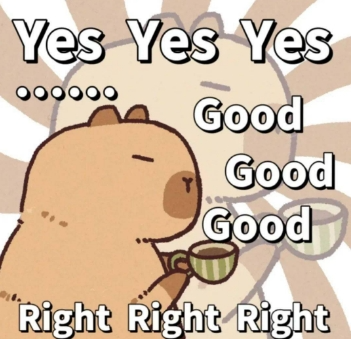 甚至连卡皮巴拉的玩偶也大受欢迎各种卡通形象,表情包层出不穷因而也