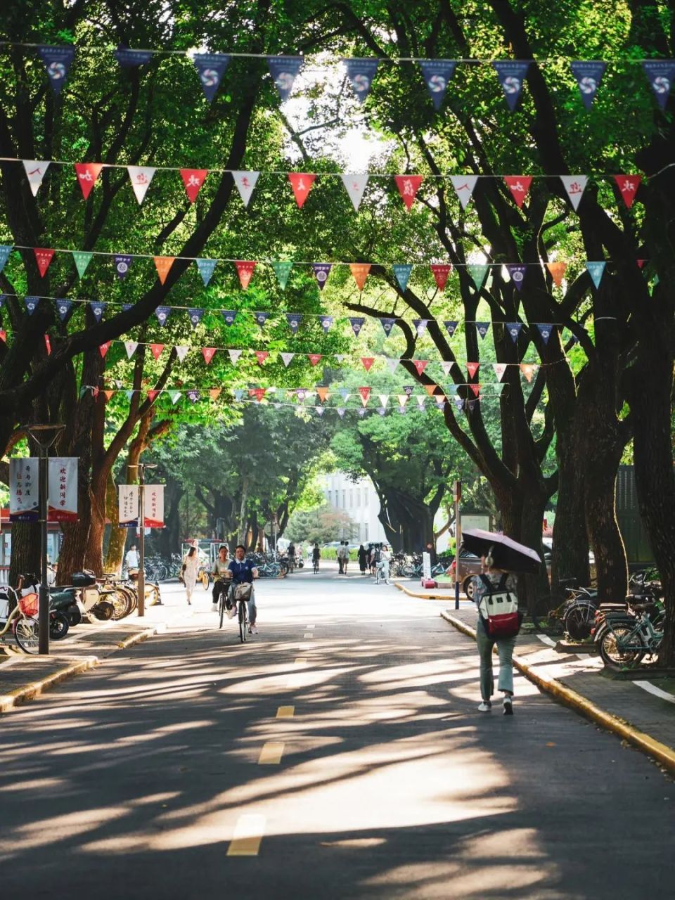 (林荫路,校园人)(文中图片源自网络)