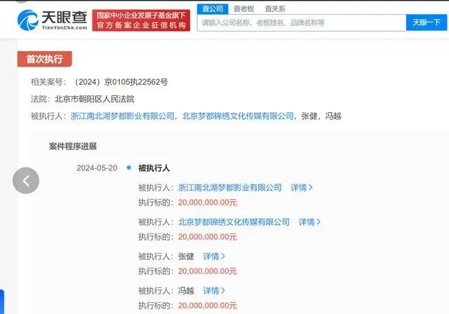 张健被强执2000万