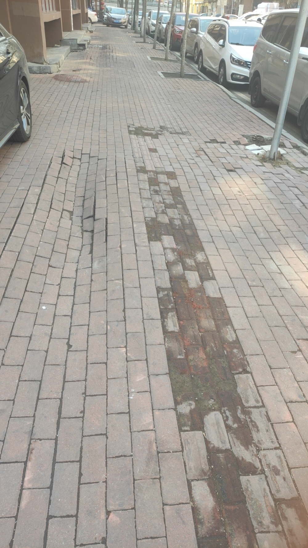 哈尔滨安祥街和安固街交口人行道凹凸不平