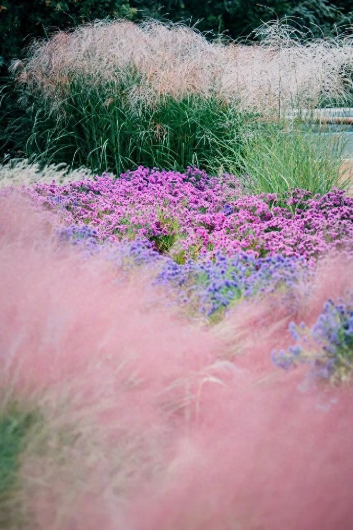 690_1035竖版 竖屏