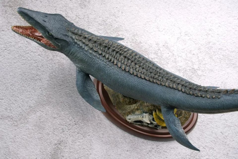 本心楠改沧龙2.0入手