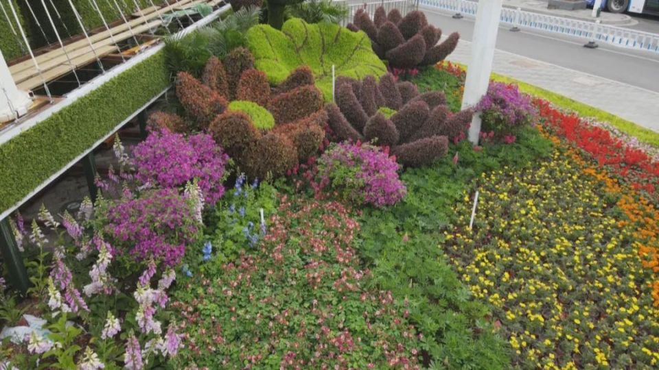今年石家庄城市"五一"花卉布置,不仅在景观小品,立体花坛等传统形式上