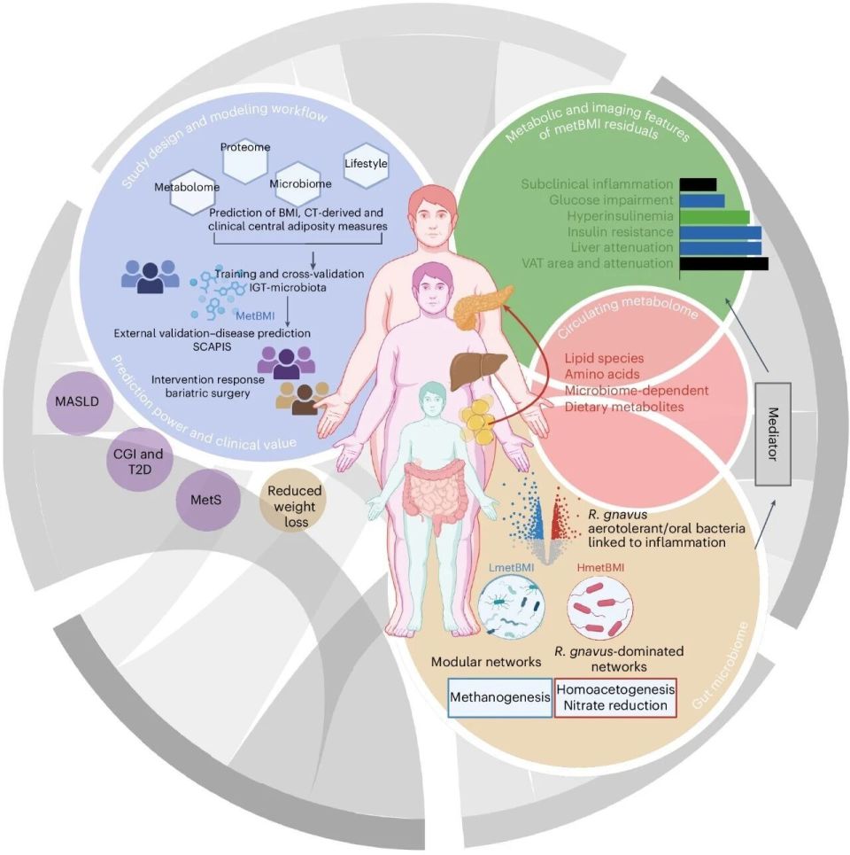 med复制粘贴怎么移动追问daily ｜ Nature：疼痛神经元是过敏反应的幕后推手；OpenAI打造健康助手_https://www.jmylbn.com_新闻资讯_第7张
